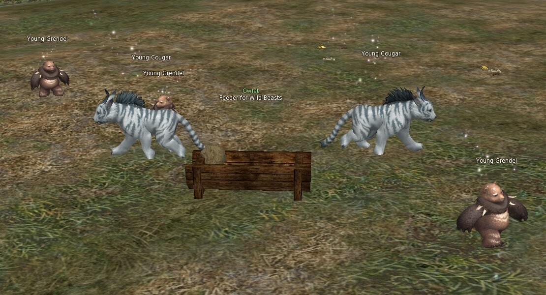 Feeder for Wild Beasts l2